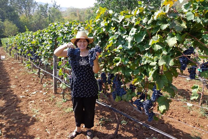 National Parks and Wine Tasting (NP Lovcen, NP Skadar Lake, Cetinje, Njegusi) - Frequently Asked Questions