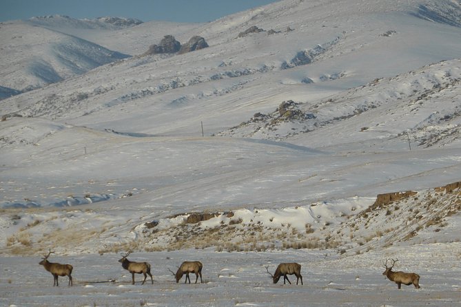 National Parks Excursion - Convenient Pickup Information