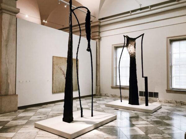 National Portrait Gallery & American Art Museum Guided Tour - Additional Options