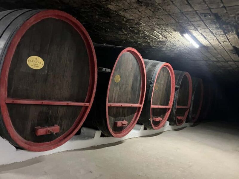 National Wine Day Celebrations In Moldova - An Overview of the Experience