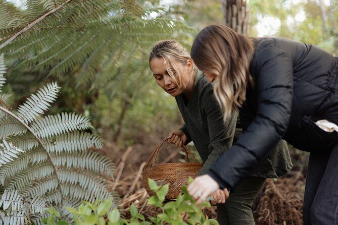 Native Forest Farm Experience Nourishing Nature in Auckland - FAQs