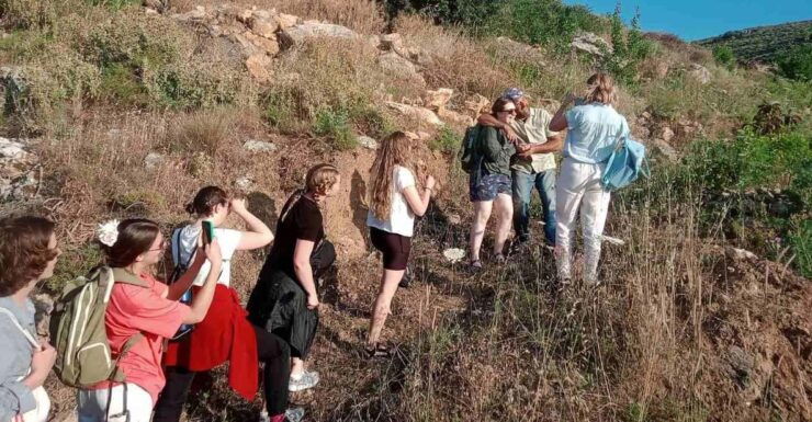 Native Vegetables Farm Tour & Organic Meal - Location and Environment