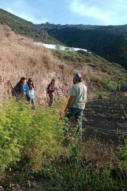 Native Vegetables Farm Tour & Organic Meal - Booking and Cancellation Policy