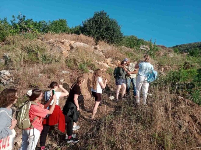 Native Vegetables Farm Tour & Organic Meal - Sustainable Practices in Agriculture