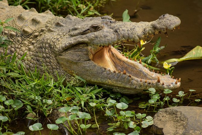 Natura Eco Park Admission - Directions to Natura Eco Park