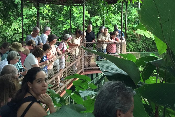 Natura Eco Park Costa Rica - Plus Admission, Wildlife Sanctuary - Family-Friendly Amenities and Services