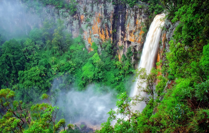 Natural Bridge and Springbrook Waterfalls Tour from Gold Coast - Purling Brook Falls: a big view without a long hike
