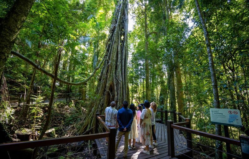Natural Bridge and Springbrook Waterfalls Tour from Gold Coast - Price and what you get for it