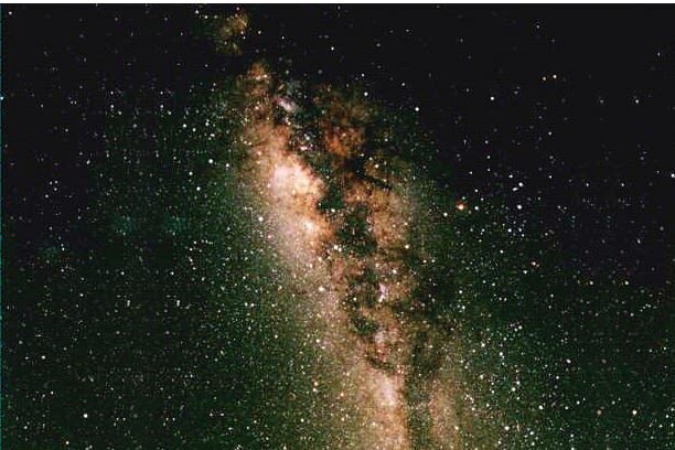 Natural Bridge Springbrook National Park Glow Worm Night Tour - Is the price worth it?