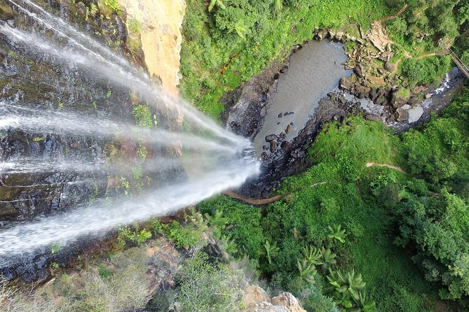 Natural Bridge & Springbrook Waterfalls Tour - Tour Overview and Inclusions