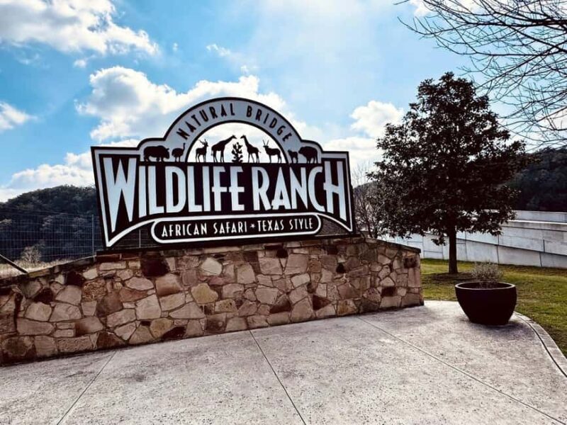 Natural Bridge Wildlife Ranch: Self-Guided Safari Drive-Thru - An In-Depth Look at the Self-Guided Safari Drive-Thru