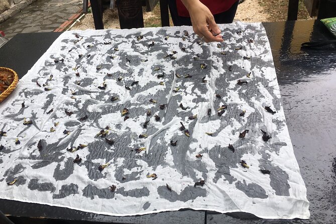 Natural Bundle Dyeing With Silk Scarf Workshop - Workshop Location