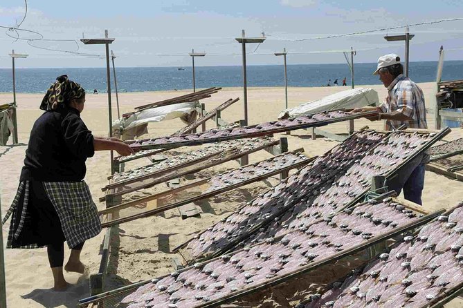Natural Caves - Alcobaça - Nazaré - West Coast - Óbidos Start in Lisbon Private - Óbidos Lagoon