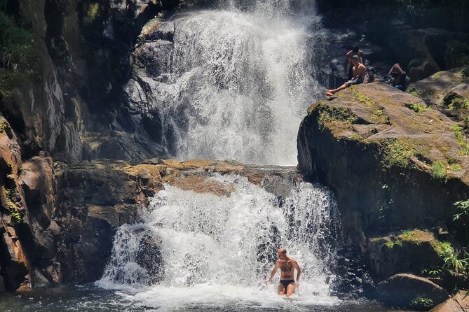 Natural Day in an Indigenous Village - Tour Highlights and Activities