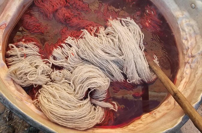 Natural Dyeing and Organic Weaving Workshop in Oaxaca - Final Thoughts: Who Will Love This Tour?