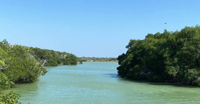 Natural Experience Rio Lagartos and Las Coloradas. - Detailed Itinerary
