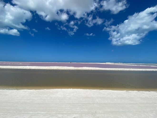 Natural Experience Rio Lagartos and Las Coloradas. - Inclusions and Exclusions