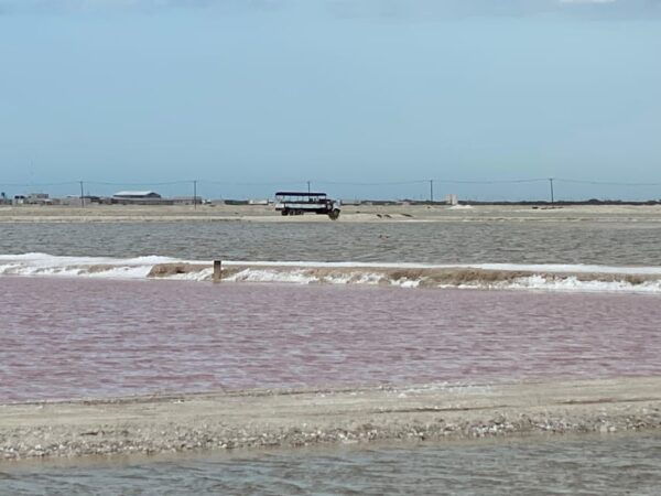 Natural Experience Rio Lagartos and Las Coloradas. - What to Bring