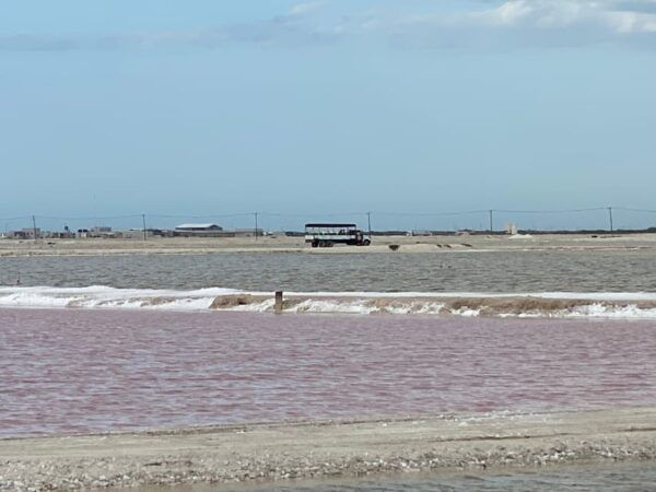 Natural Experience Rio Lagartos and Las Coloradas. - Customer Feedback