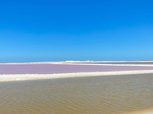 Natural Experience Rio Lagartos and Las Coloradas. - Tour Duration and Availability