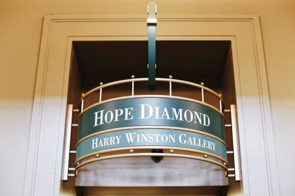 Natural History Air and Space Museum: Guided Combo Tour - Tour Guide Praise