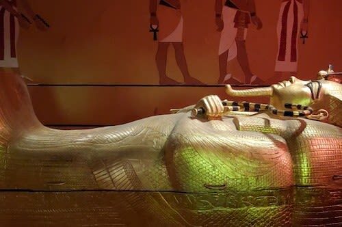 Natural History Museum Admission in Las Vegas - Key points before you go