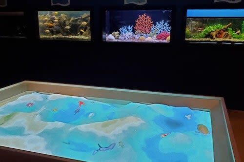 Natural History Museum Admission in Las Vegas - Ancient Egypt and the African savannah broaden the visit