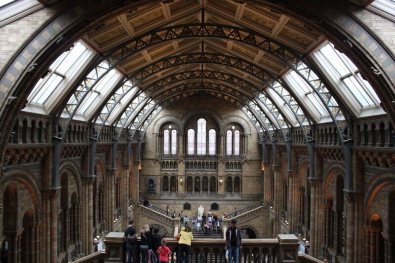 Natural History Museum e Kensington Garden - Final Thoughts: Is This Tour for You?