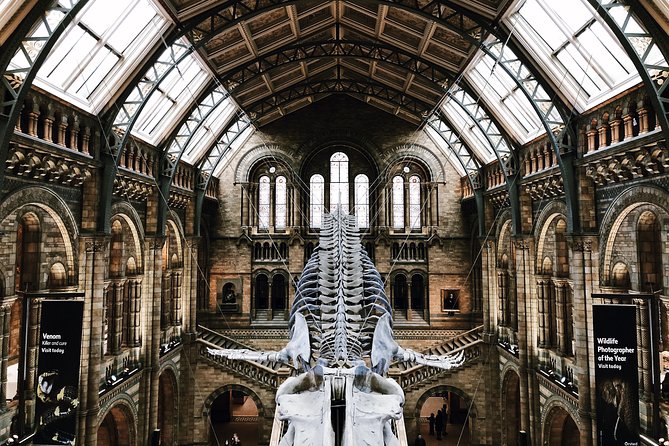Natural History Museum London - Private Guided Museum Tour - What to Expect