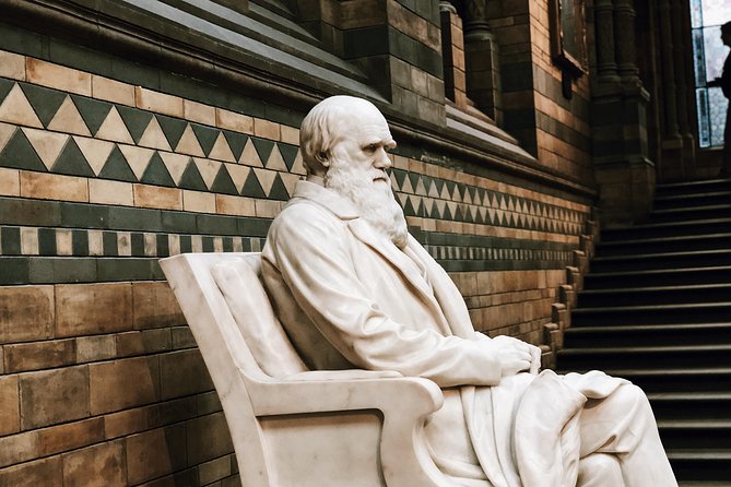 Natural History Museum London - Private Guided Museum Tour - Additional Information