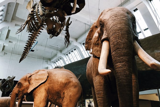 Natural History Museum London - Private Guided Museum Tour - Cancellation Policy