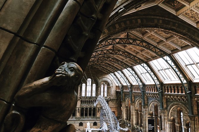 Natural History Museum London - Private Guided Museum Tour - Common Questions