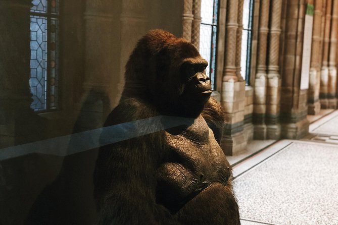 Natural History Museum London - Private Guided Museum Tour - The Sum Up