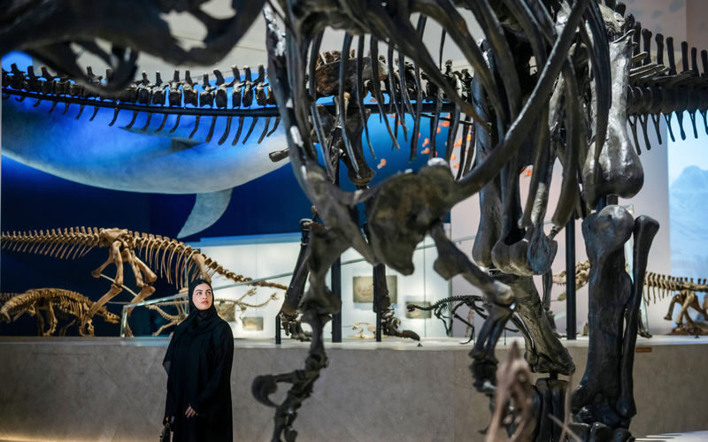 Natural History Museum Ticket in Abu Dhabi - The blue whale and the living world