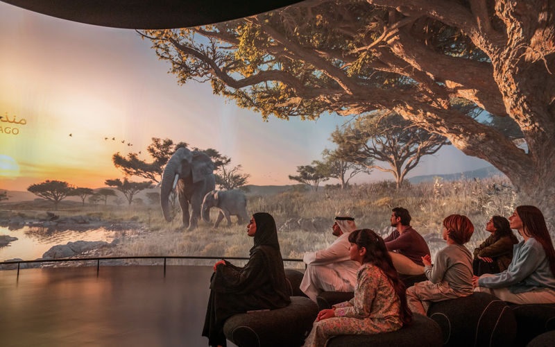 Natural History Museum Ticket in Abu Dhabi - LEGO® SHOWS Natural Brickstory