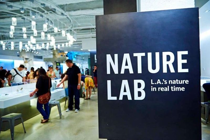 Natural History Museum Ticket in Los Angeles - Gems and Minerals: A Change of Scale