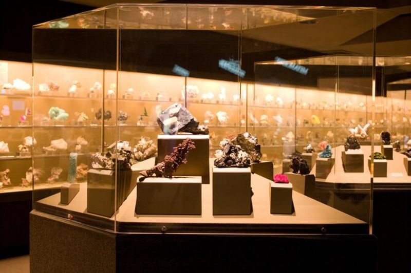 Natural History Museum Ticket in Los Angeles - Orcas: A Separate-Ticket Exhibition