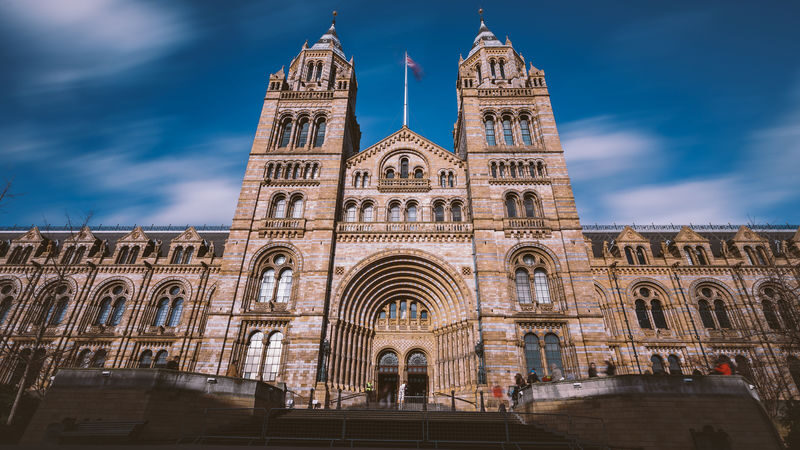 Natural History Museum tour in London - At a glance
