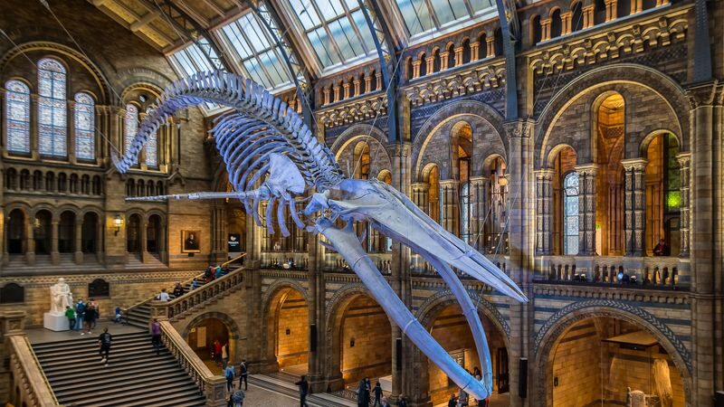 Natural History Museum tour in London - The museum’s grand entrance sets the tone