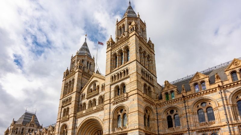 Natural History Museum tour in London - Who should book this museum tour?