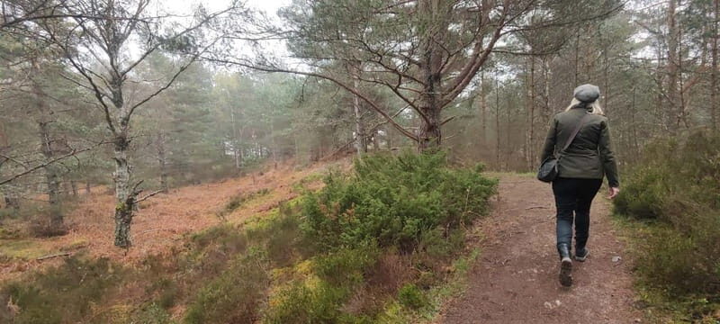 Natural Landscapes of Aberdeenshire and the Cairngorms - The Sum Up