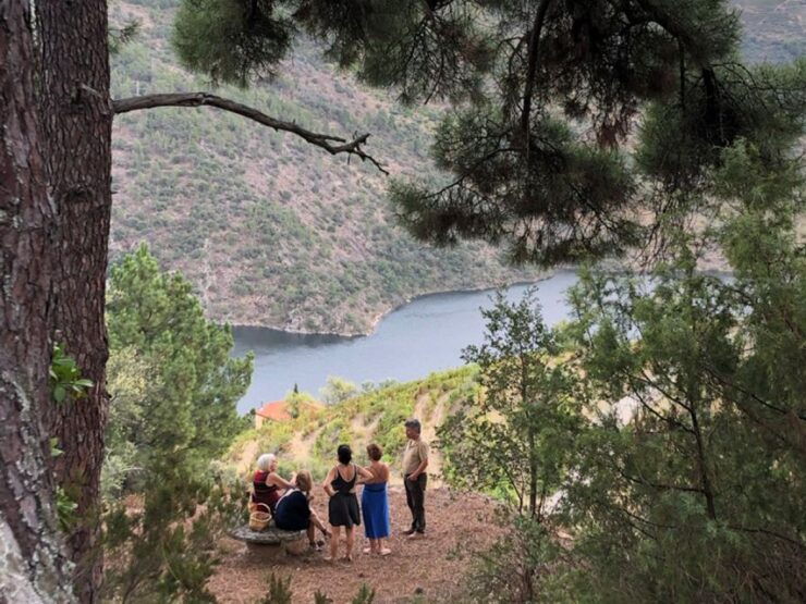 Natural Organic Wine Tastings / Farm Visit in Douro Valley - Tour Highlights