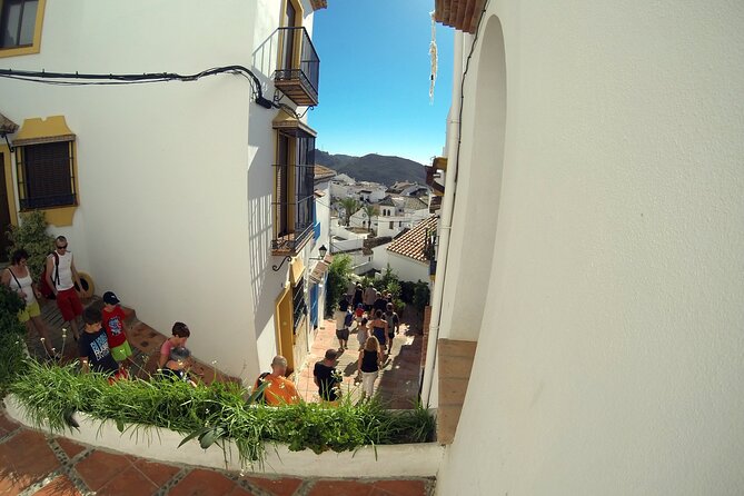 Natural Parck Jeep Eco Tour From Costa Del Sol - Traveler Photos and Reviews