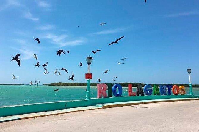 Natural Pink Lake Tour Las Coloradas only from Playa del Carmen - An Honest Breakdown of the Itinerary