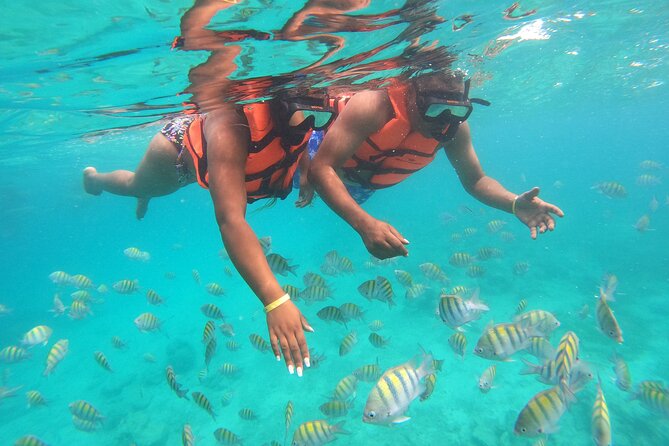 Natural Pool Speedboat and Snorkeling Experience - Pricing and Booking
