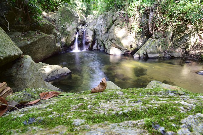 Natural Pools of Trompito and Rio Mar Viewpoint - Details and Inclusions
