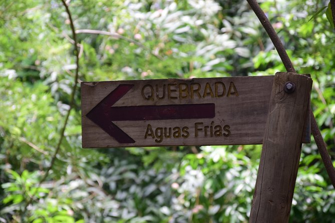 Natural Pools of Trompito and Rio Mar Viewpoint - What To Expect