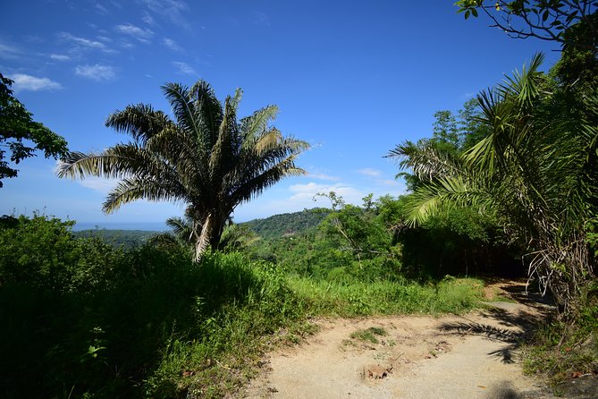 Natural Pools of Trompito and Rio Mar Viewpoint - Frequently Asked Questions