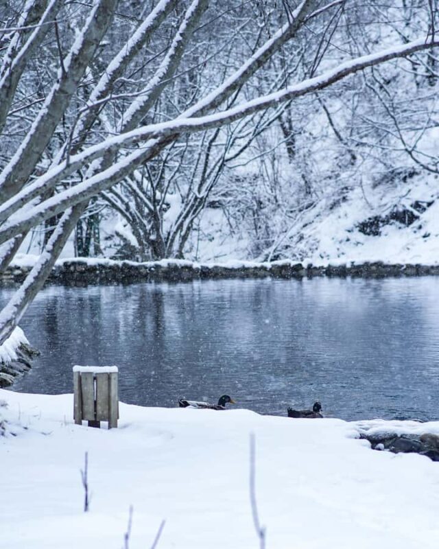 Natural Treasures of Northern Azerbaijan in 5 Days - Final Thoughts: Who Will Love This Tour?