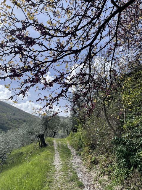 Natural Umbria: Trekking to the Menotre Waterfalls - Reservations